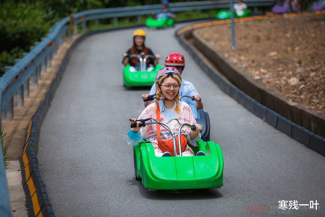 宁波|宁波全新炫酷山地滑车,从山顶一口气滑到山脚,惊险刺激第一次见