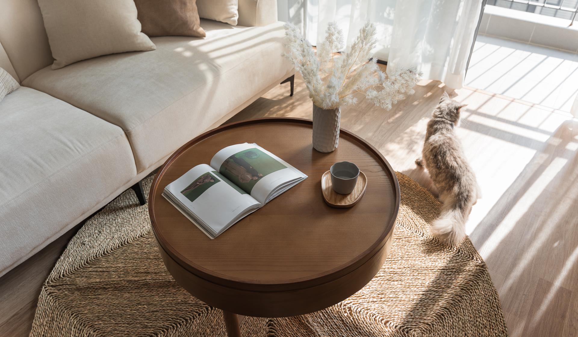 一人独居,可以不华丽,舒适度一定要有,才是真正向往的生活状态