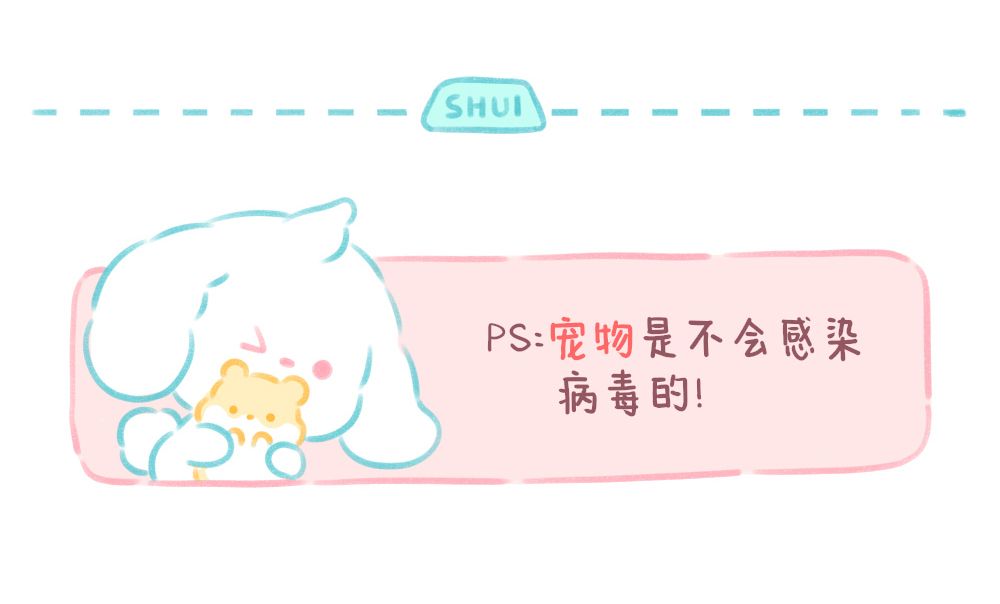 比熊睡睡|抗原自测注意事项
