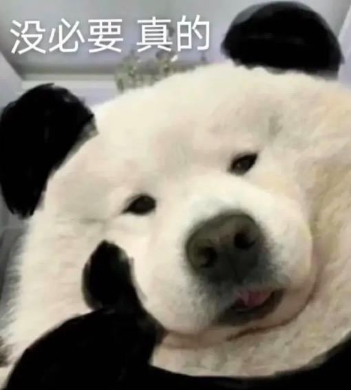 大S|大s家又又又开始了!