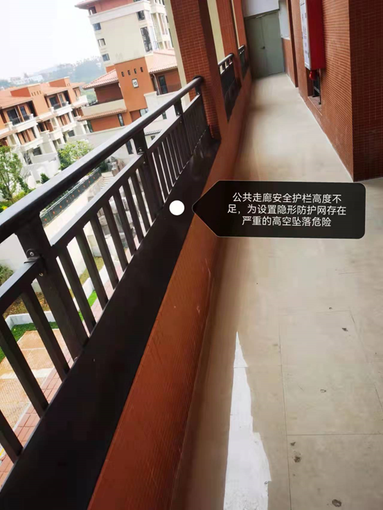 合肥|泉州丰泽区:海韵山居被诉绿化造假及其它问题?望开发商介入沟通、积极整改