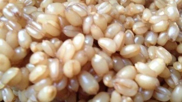 鲫鱼|钓鲫鱼,10种打窝方式,你用过几种?