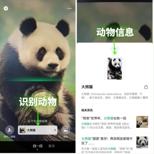 域名|微信这几个好用的功能，你该知道