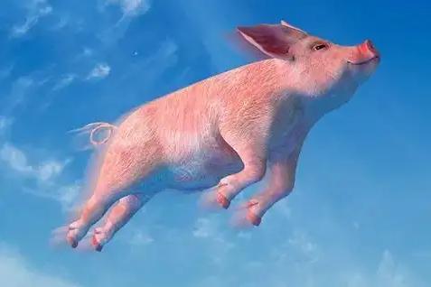 小米科技|小米不再发烧，风停了？小米现状研究报告