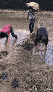 |“看不起这种挺不起脊梁的男人”