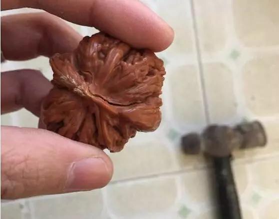 核桃|核桃裂了？这样做可能价值翻倍