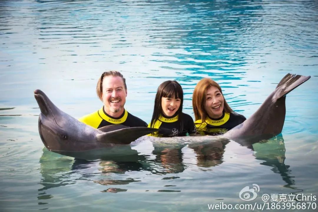 黄嘉千|娱乐圈模范夫妻被爆离婚！16年恩爱的人设终于崩塌！！！