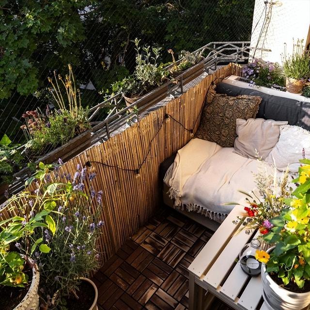 太美了，她在家里摆了1000株绿植，犹如小森林，将生活过成了诗