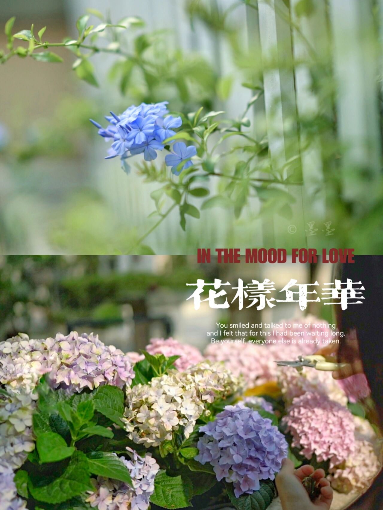 DIY造园:自己设计打造100㎡花园,不需要花太多钱,但充满成就感