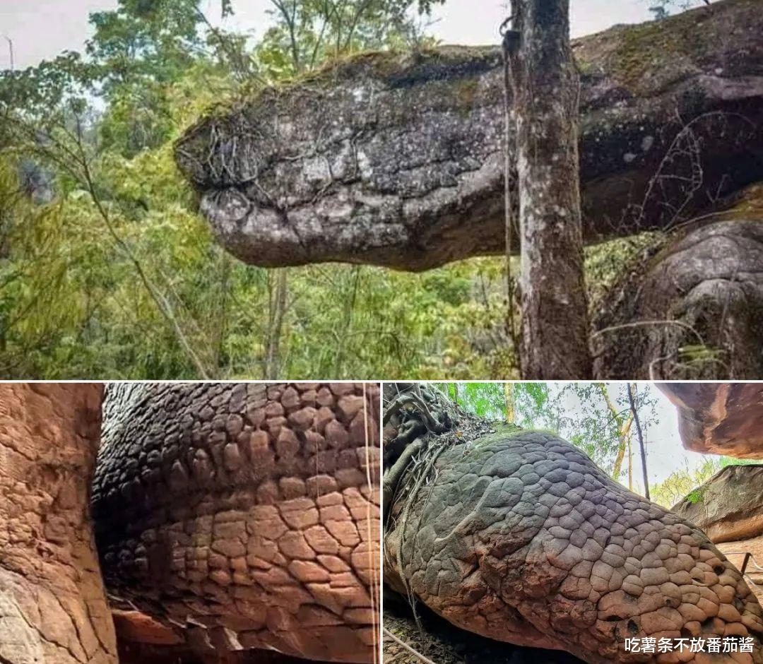 嘉兴|30张活久见的照片，令人眼界大开