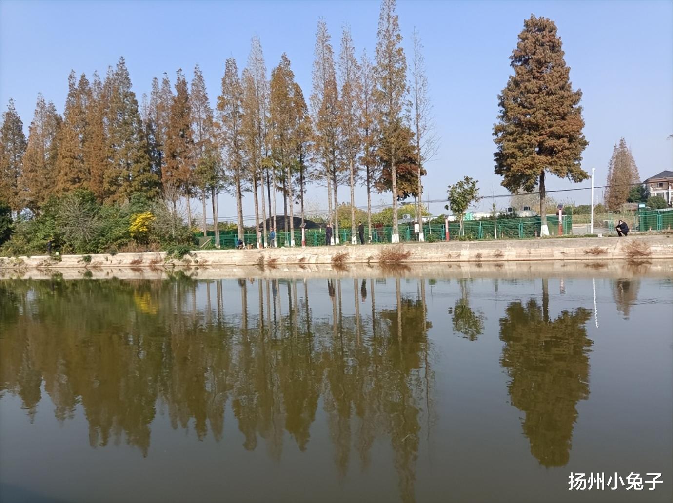 |钓一杆秋日暖阳，得一份人生感慨