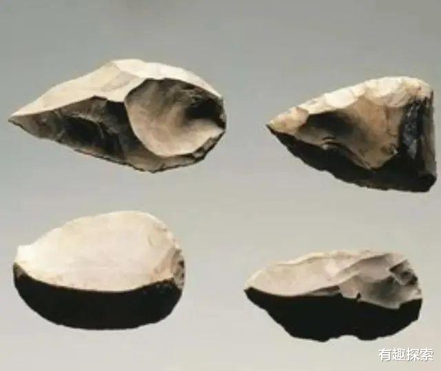 巴西猴子5万年前进入“石器时代”?专家:石器遗址并非人类制造