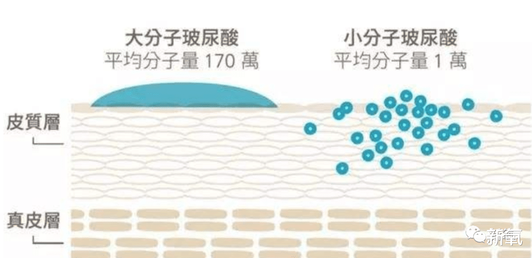 水果 这就是新旧女团风格转变的标准吗？