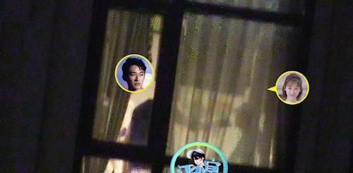 杨紫|杨紫回应刘学义喂蛋糕无意间将张予曦张雪迎推上热搜