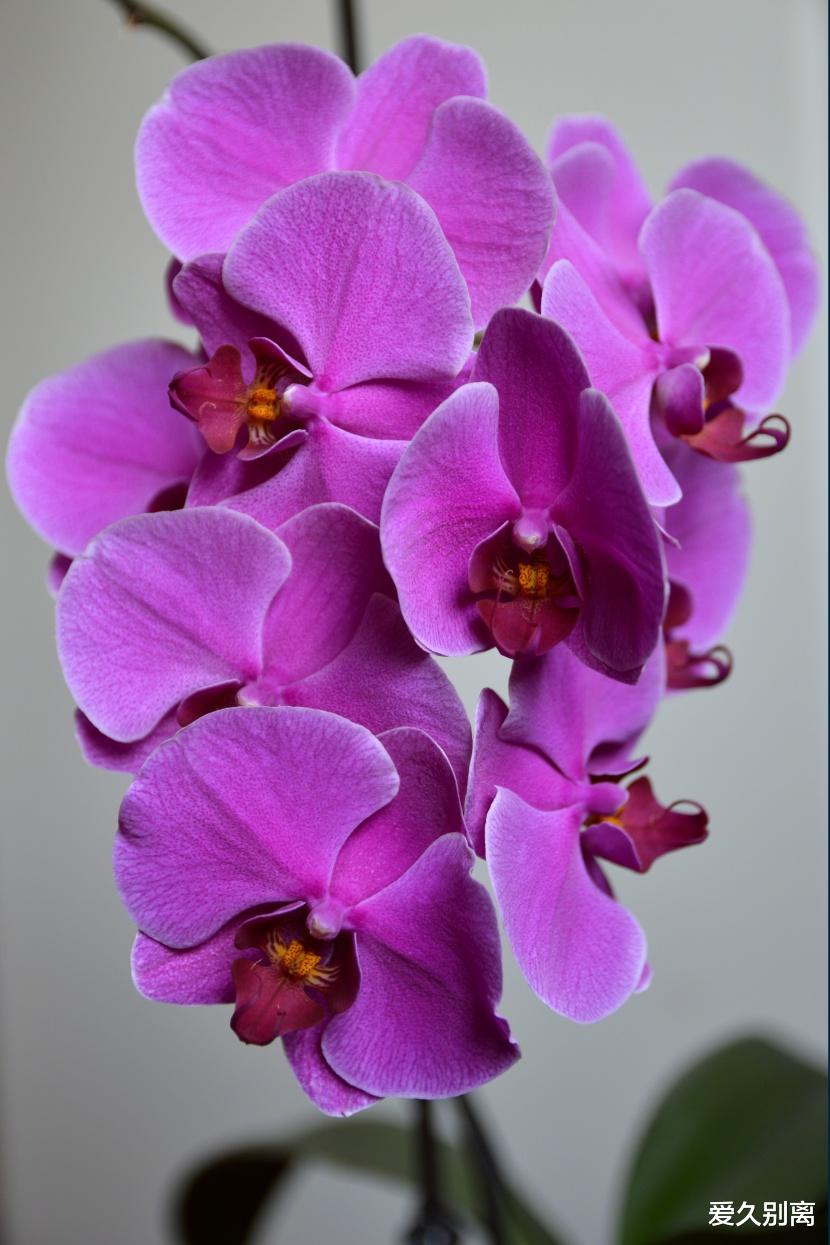 |八月第四周，这些星座：深耕细作，多方调查，谋求突破