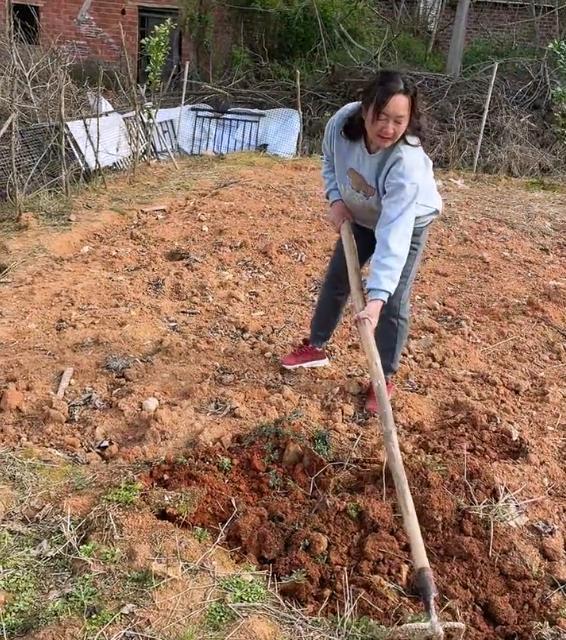 张玉环|张玉环城里老婆下地干活，虽然动作不娴熟，但依然被网友赞扬！