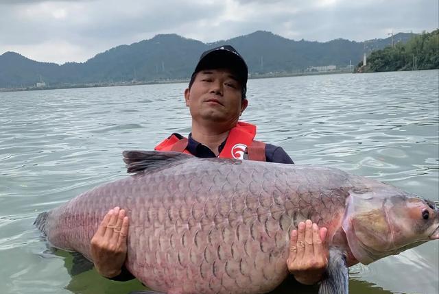 代步车|“啥也不懂你测毛线”邓刚直播间怒怼渔具测评人，究竟是谁失了智