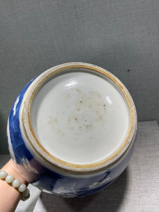 光绪|傲雪凌霜——清代各式冰梅瓷器赏析