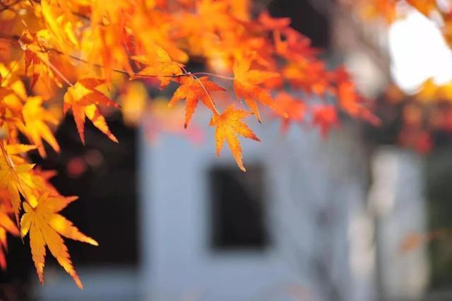 招聘|你不必有多完美,只需要更有勇气