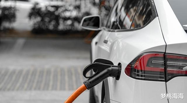 新能源|画一张大饼骗1000亩地的车企破产了，新能源汽车有共享单车味道