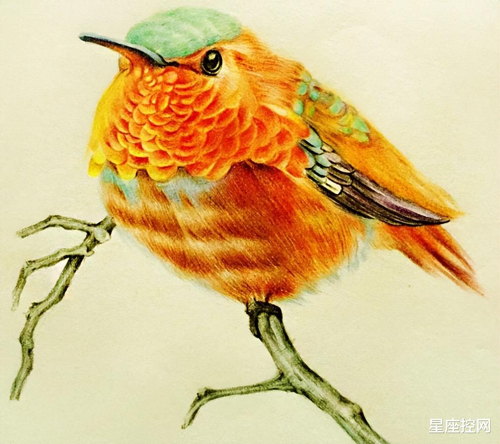 |哪几个日子出生的人，苦中能作乐，上半年结束，阴霾一扫而光