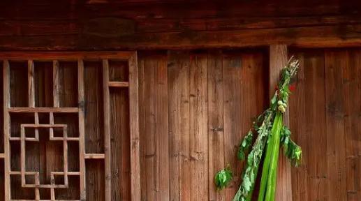 “端午到,五毒醒,不安宁”,五毒都有啥?壁虎尿液真的有毒吗?