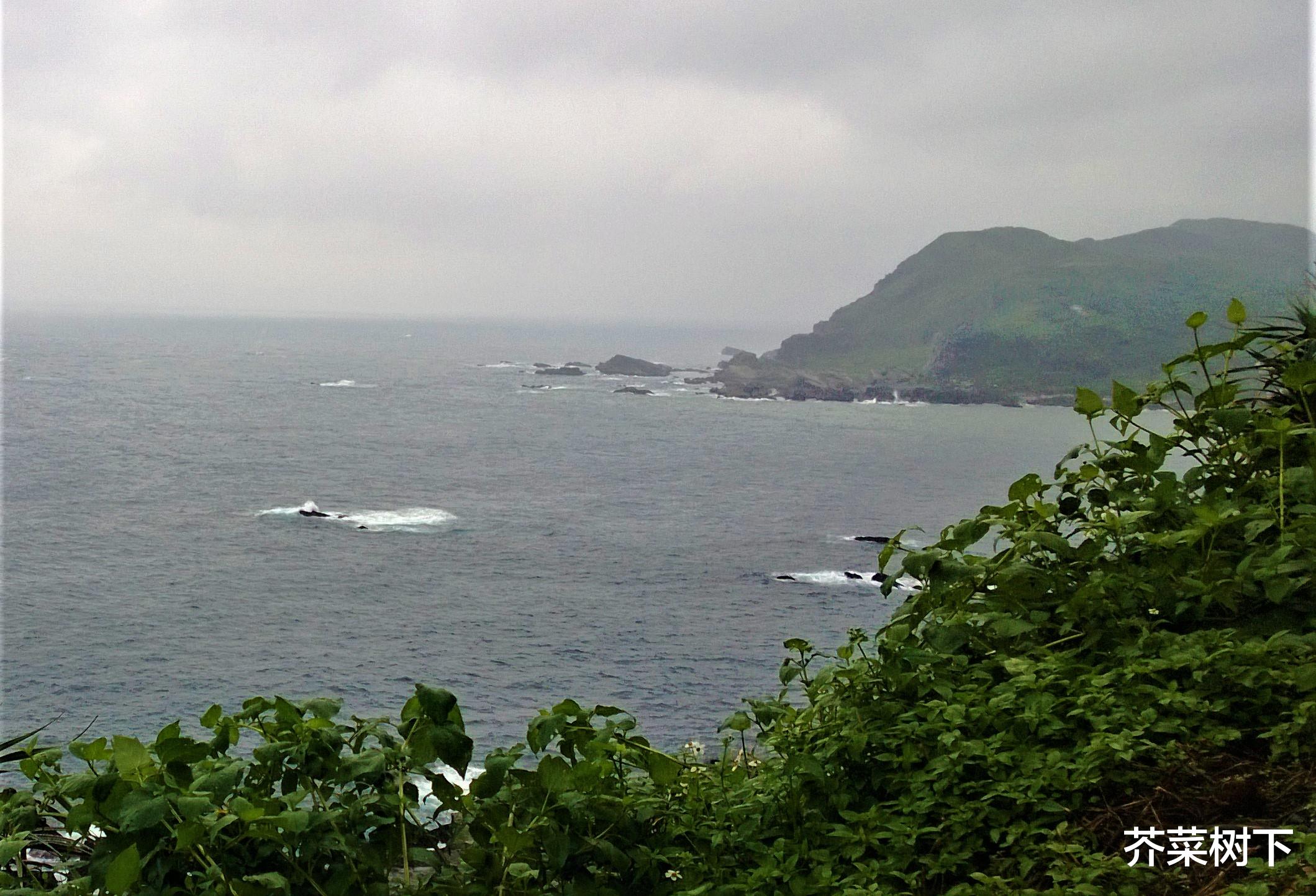 |职场显摆人?爱咋咋地