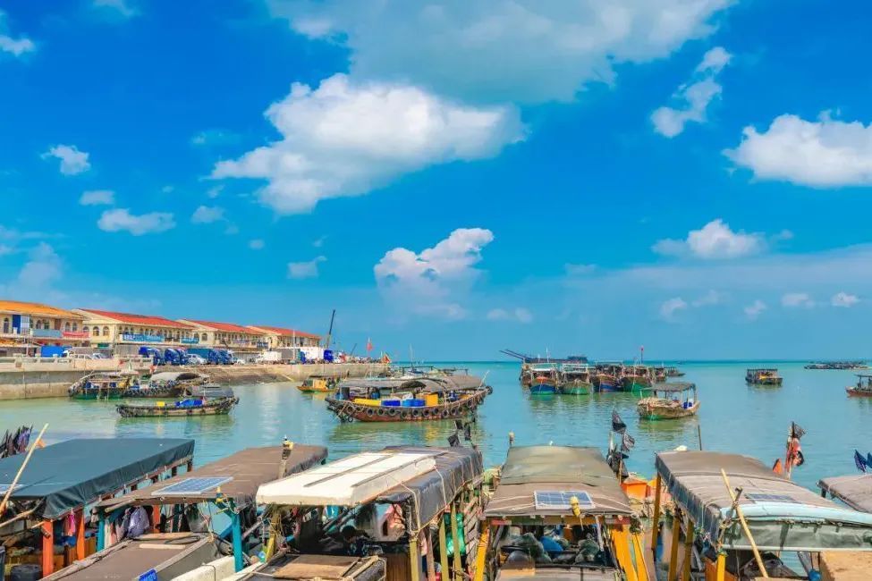 甘南|就没见过哪个过气网红,还能好看成这样的