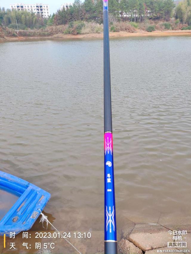 鲫鱼|冬天钓草鱼之招数！