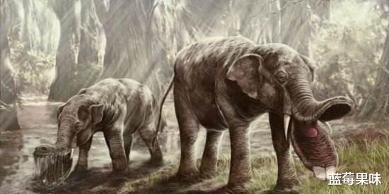 盘点5种世界上曾经存在的远古生物,各个都是长相奇特的奇葩物种