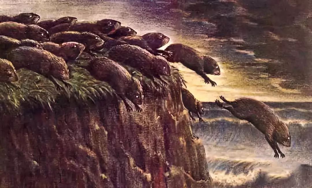 奔向死亡的旅途中,顿悟了生命的真谛……