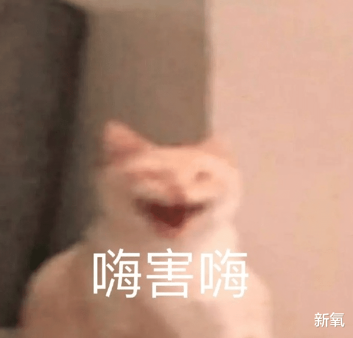 |静态称霸动态拉胯,翻版宋慧乔就这?