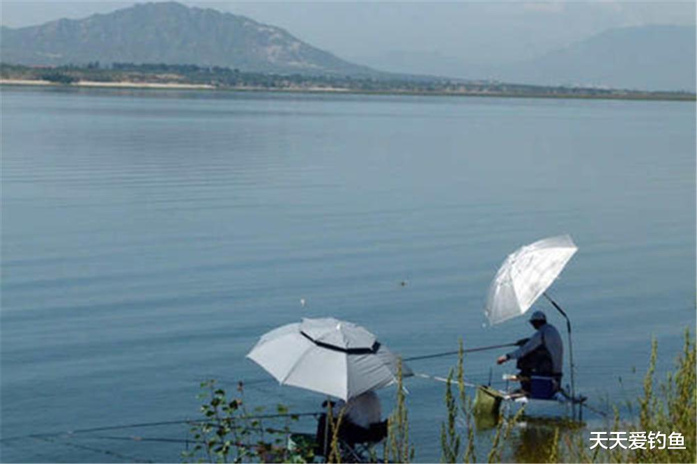 |夏季野钓,气温高“坑”太多,记住3不选3不钓,套路比技巧重要