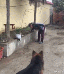 谢霆锋|张柏芝疑与三胎生父带孩子们逛街,Lucas与继父关系亲密胜过谢霆锋