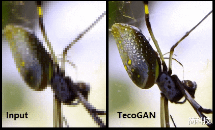 英特尔|手机上那些打码图片，现在能破解了