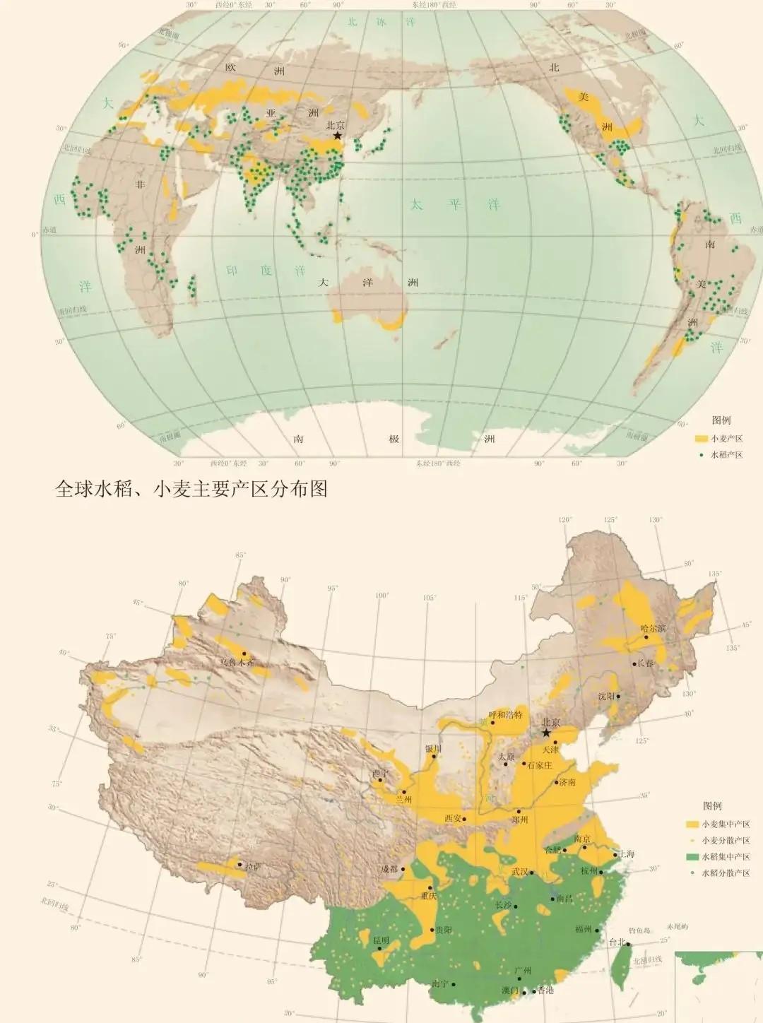 从西亚到中国, 从山羊草到栽培小麦, 史前一万年发生了怎样的演化