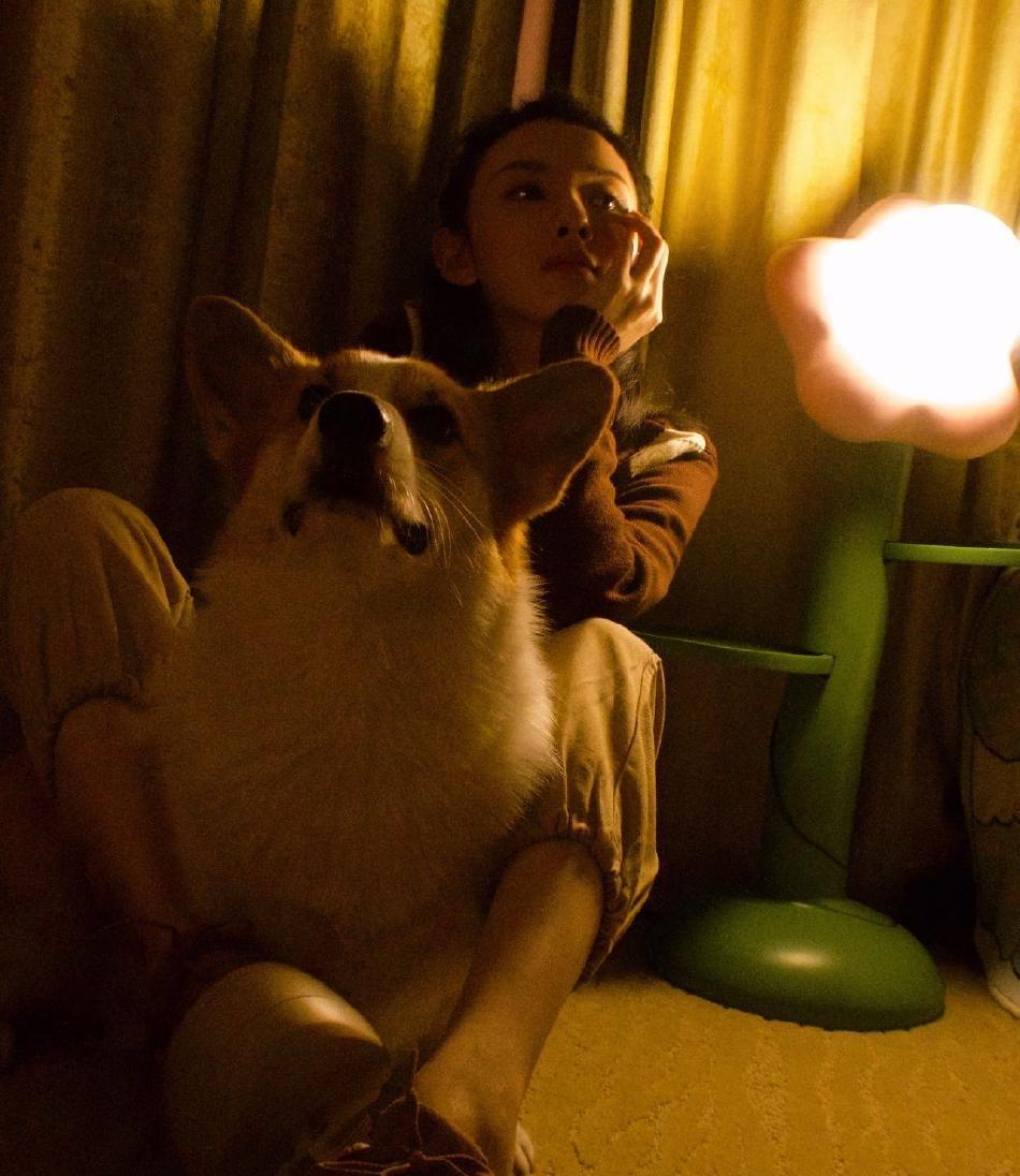 宋祖儿|宋祖儿晒与爱犬合影，呆萌又可爱，少女感十足