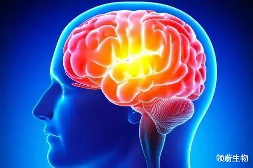 我国干细胞治疗脑卒中的临床案例汇总