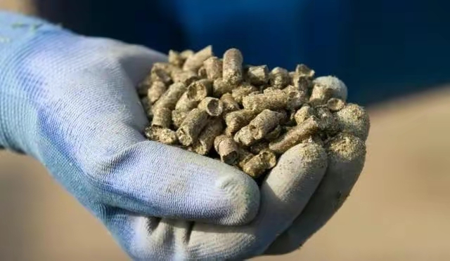 |钓鱼时你是否也喜欢折腾自己？