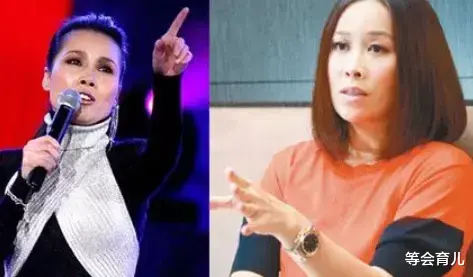 田震|20年后,再看那英、田震各自的境遇,差距一目了然