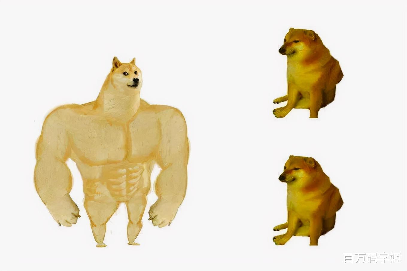 95后|回到小镇的95后年轻人:“逃离大城市之后,我的日子并没有变好”