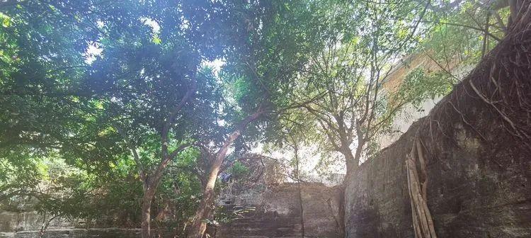 马洲|龙海颜厝纪行:且谈马洲土楼的“方汉鸠宗”