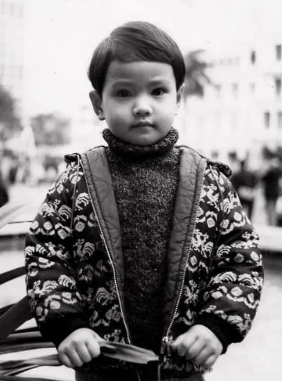 周海媚|周海媚：历经8段揪心恋情，不恋爱不结婚，对男人彻底失望