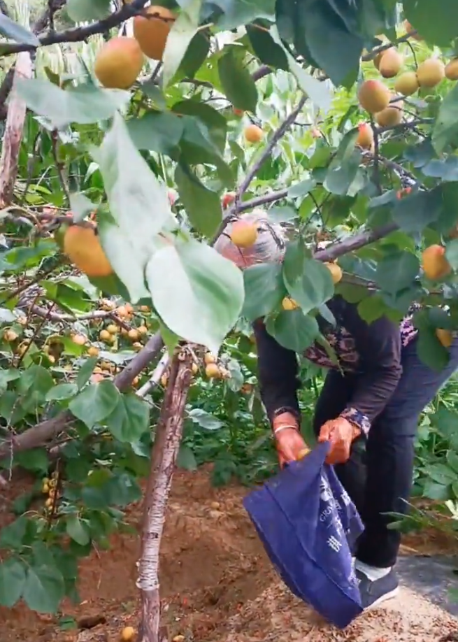 大爷|在快手上，看完这群大爷大妈，我羞愧到想退网