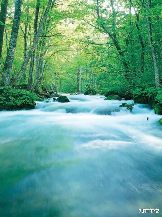 山王坪|端午出发!国内10个人少景美的宝藏秘境,满足你对美好假期的幻想