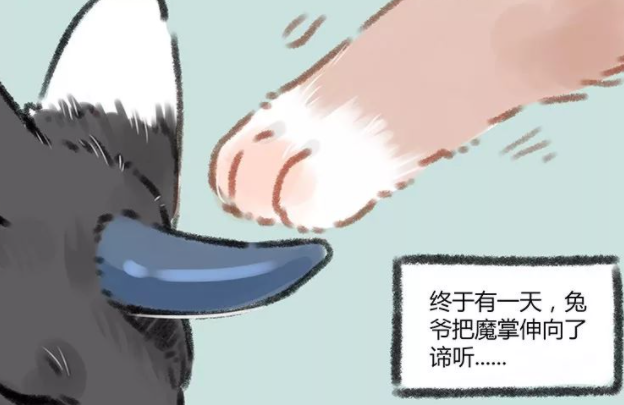非人哉|神仙妖怪也会梦游？非人哉的大士万圣街的阿布都梦游过！