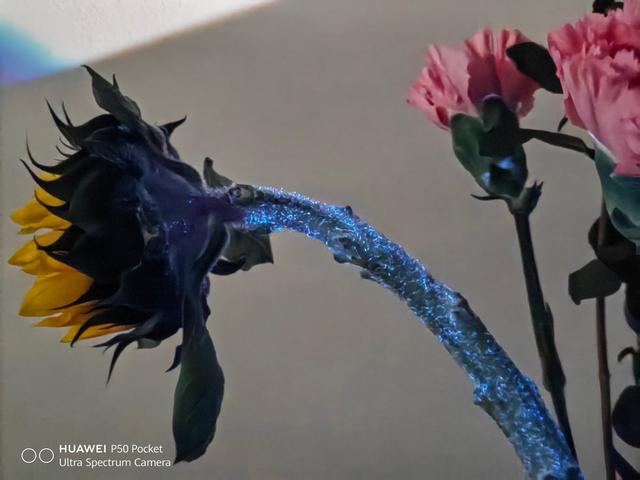 |过年送礼新选择：华为P50宝盒打造质感超群的艺术单品