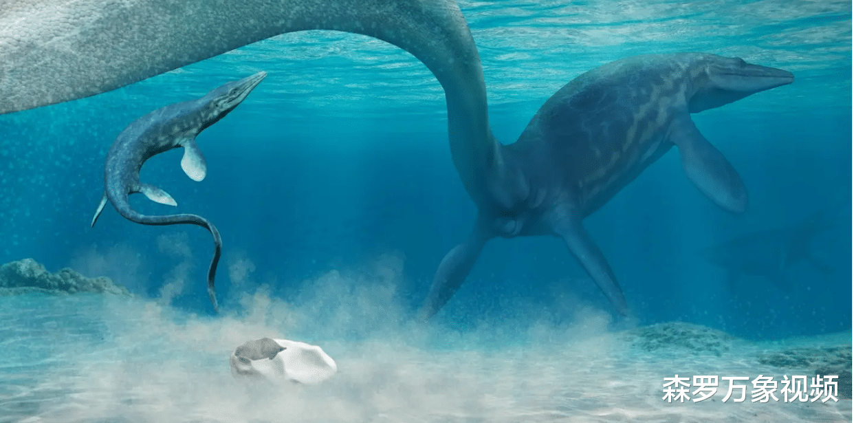 海洋生物普遍有“深海巨人症”,比蓝鲸还大的动物会躲在深海吗?
