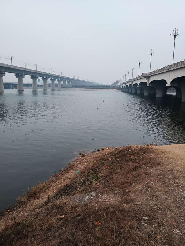 寒潮|寒潮来袭，鲫汤暖心，钓鱼人依然在路上