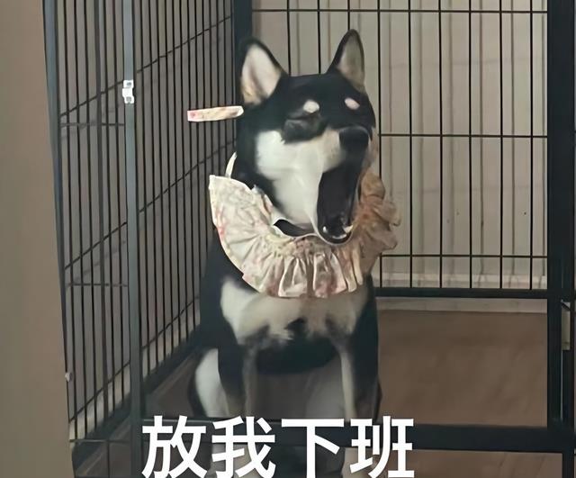 hr|90后打工人面试,想找个双休的工作,HR:“看来你还是不差钱啊”